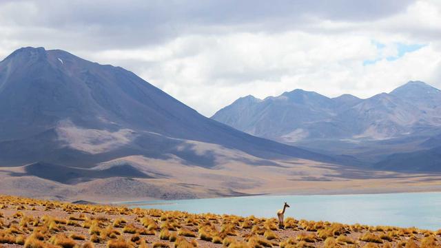 Criar site em brusque em Aragoi�nia