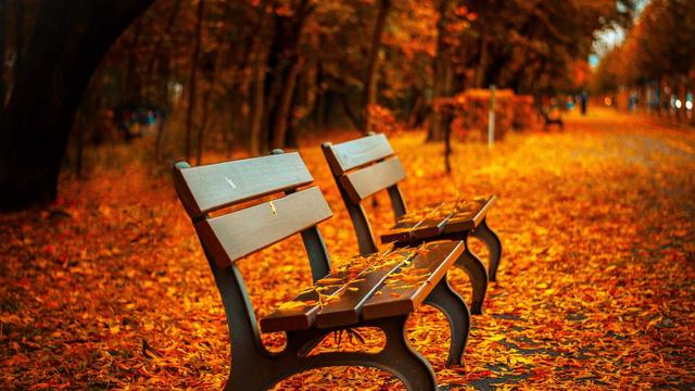Criar site empresarial em Nova Bandeirantes
