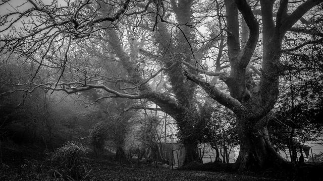 Criar Site Gratis em Dores�polis