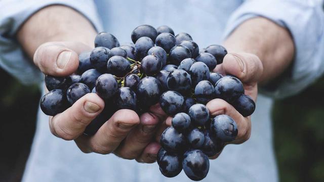 Criar site gratis em Tr�s Passos