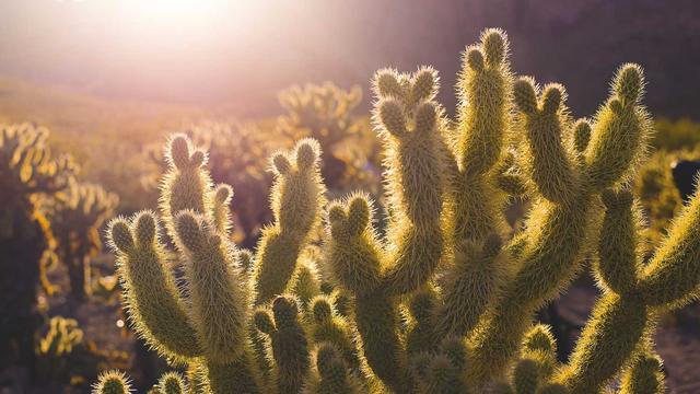 Criar site html5 em Congonhas do Norte