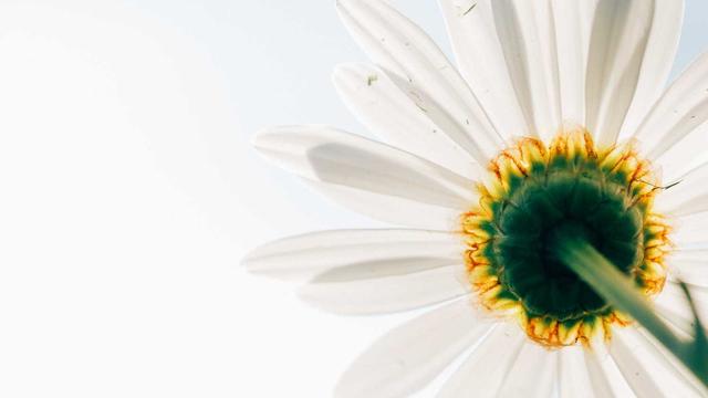 Criar site internet em Pedralva
