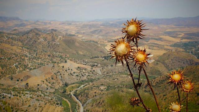 Criar site internet em Taparuba