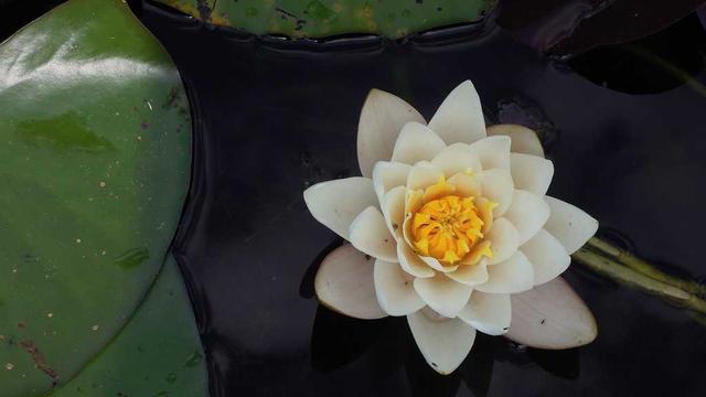 Criar site itajai em Canutama