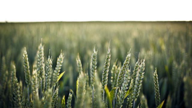 Criar site loja virtual em Braga