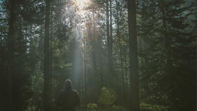 Criar site para advogados em Po�os de Caldas