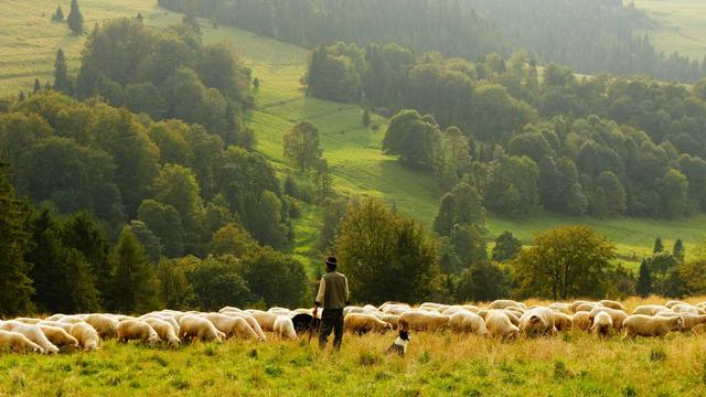 Criar site para empresa online em Bugre