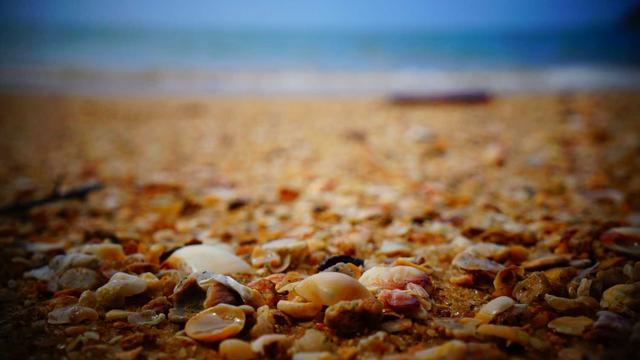 Criar site para empresas em Palmares