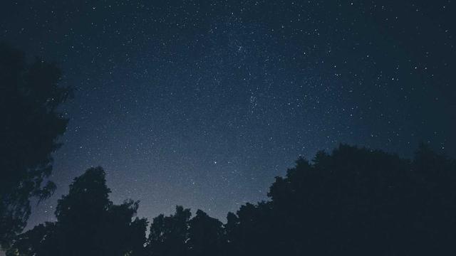 Criar site para web em Terra Nova