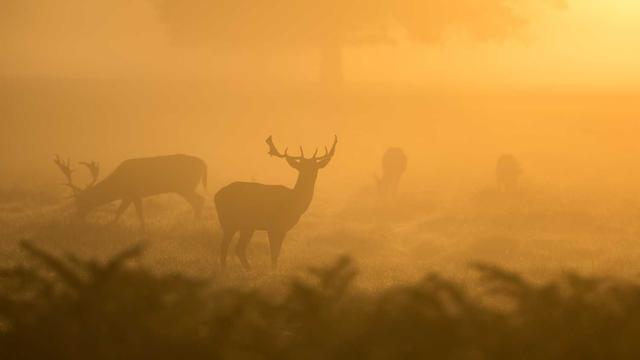 Criar site texto em Claro dos Po��es
