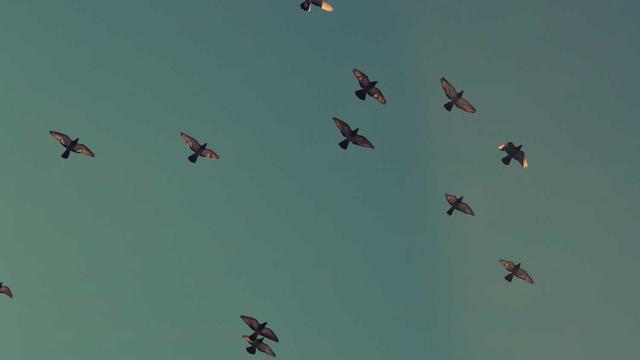 Criar site top em Macaubal