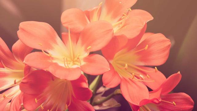Criar site webdesigner em Bom Sucesso