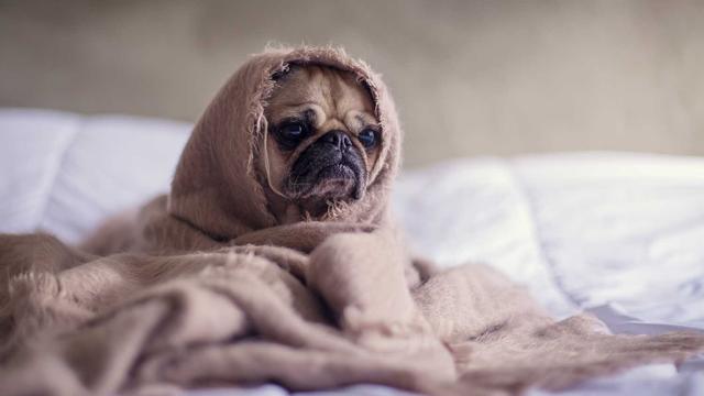 Criar site webdesigner em Tapero�