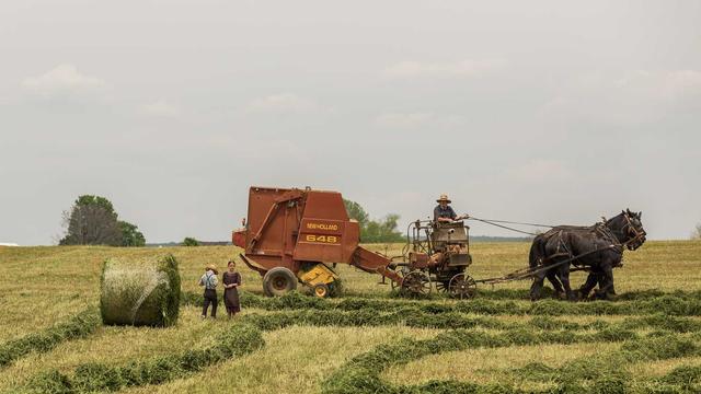 Criar Sites em Jangada