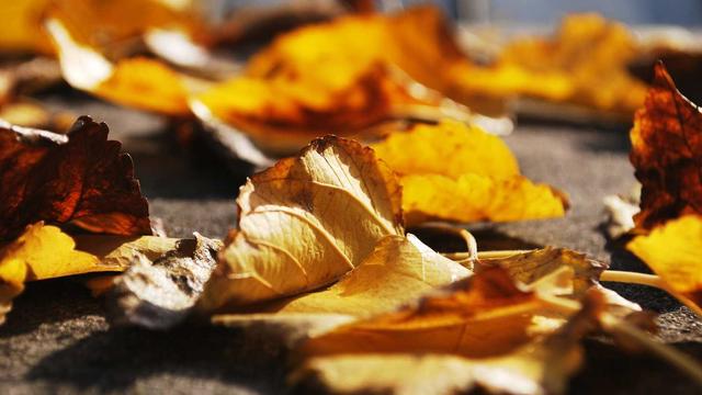 Crie seu website em Paramoti