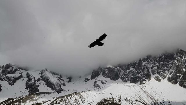 Cript de loja virtual em Castanhal