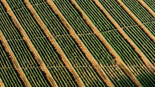 Cript de loja virtual em Rio das Antas