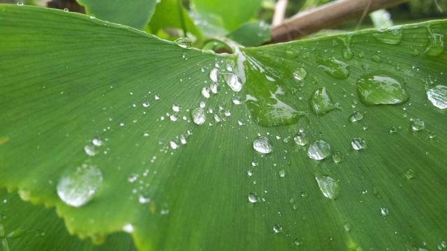 Desenvolvedor sites em Arantina