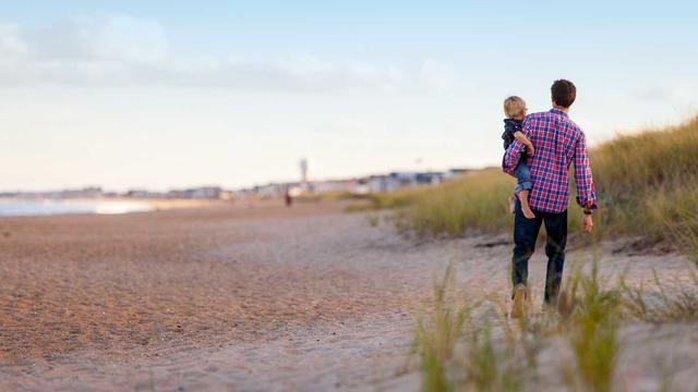 Desenvolvedor sites em Cidreira