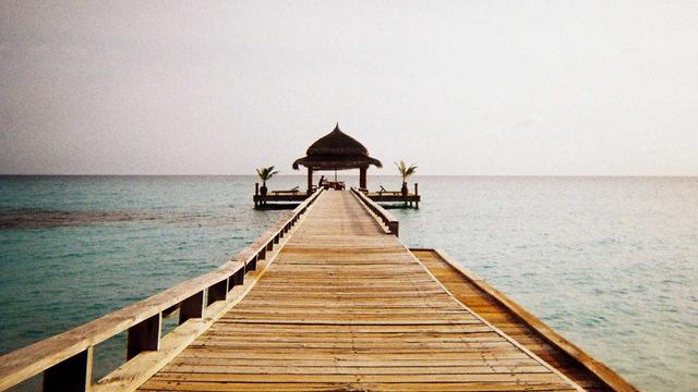 Desenvolvedora de site em Jaboticabal