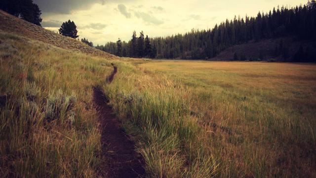 Desenvolvedora de site em Salgadinho