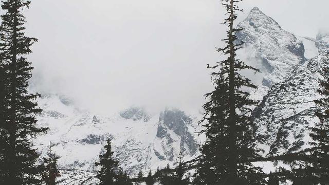 Desenvolvimento asp em �urea