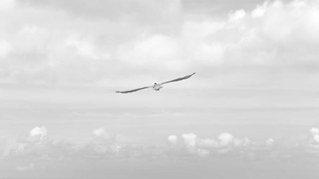 Desenvolvimento da web em Capim Grosso