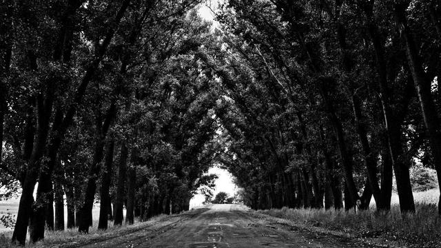 Desenvolvimento de aplica��es web em Xex�u