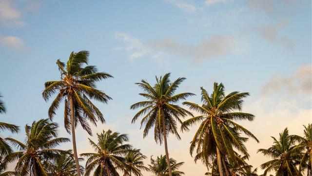 Desenvolvimento de Sites em Php em Alegrete