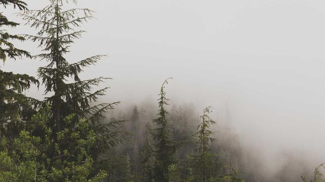 Desenvolvimento de sites porto alegre em Nova P�dua