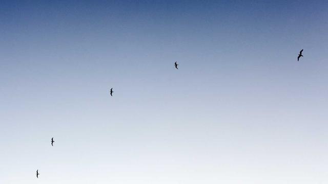 Desenvolvimento de software em Coqueiral