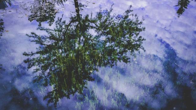 Desenvolvimento de softwares em Rafael Jambeiro
