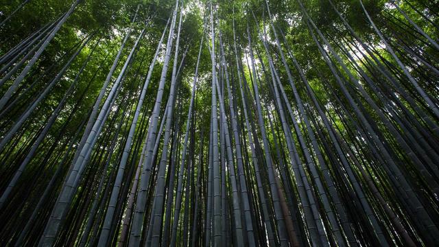 Desenvolvimento ecommerce em Matrinch�