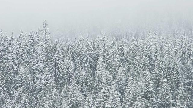 Desenvolvimento em php em Fazenda Nova