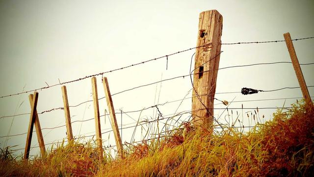 Desenvolvimento em php em Monte Carmelo
