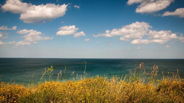 Desenvolvimento php em Capara�