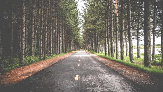 Desenvolvimento php em Santa Rosa do Purus
