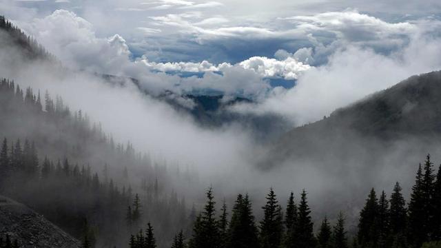 Desenvolvimento sites com programa gerenciamento em Chor�