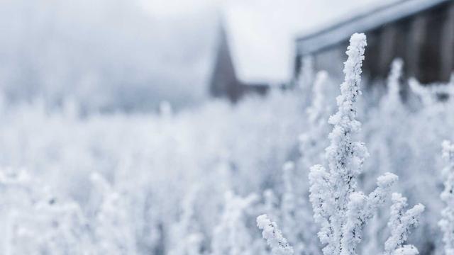 Desenvolvimento web brusque em Coronel Pacheco