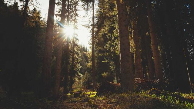Desenvolvimento web brusque em Madre de Deus de Minas