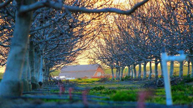 Desenvolvimento web brusque em Pereira Barreto