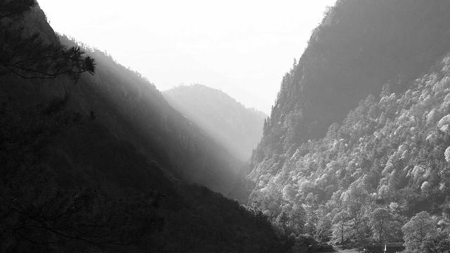 Desenvolvimento web brusque em Pitimbu