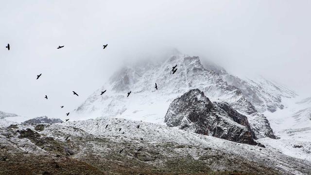 Desenvolvimento web php em Cruzeiro