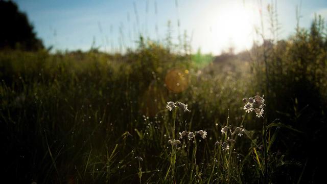 Desenvolvimento web php em Ibir�