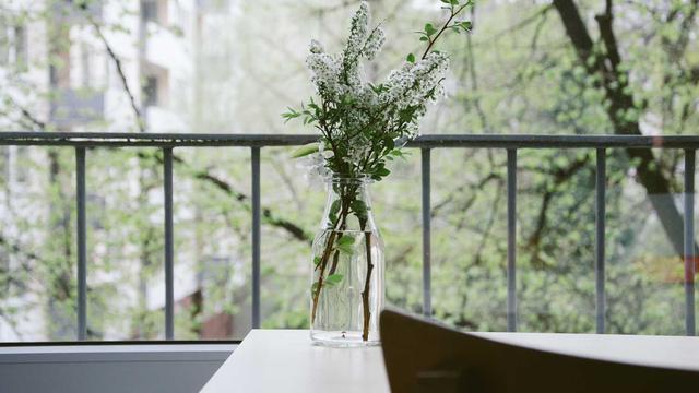 Desenvolvimento web php em Sapopema