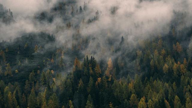 Desenvolvimento web php em Sulina