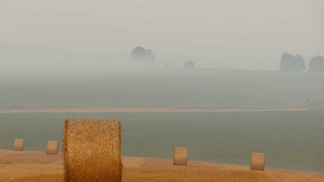 Desenvolvimento web site em Bujari