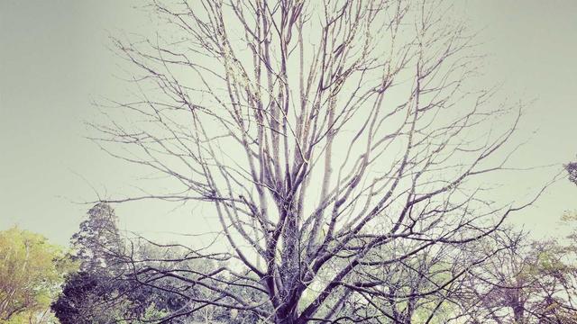 E ecommerce em Planaltina do Paran�