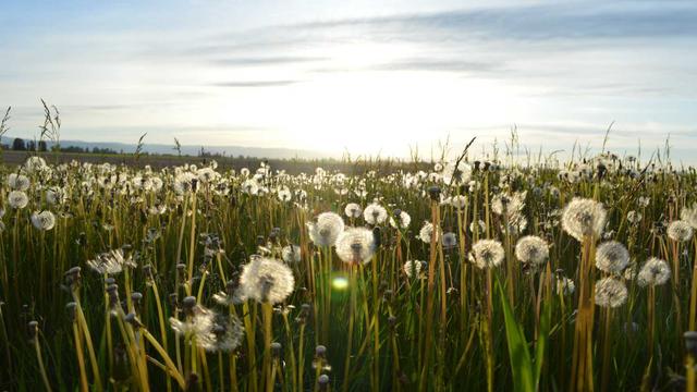 Empresas com sites maring� pr em Ribeira