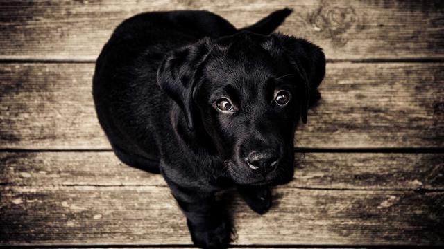 Empresas de sistema em Montes Altos